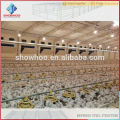Low cost steel structure commercial chicken house prefabricated chicken egg poultry farm broiler house design